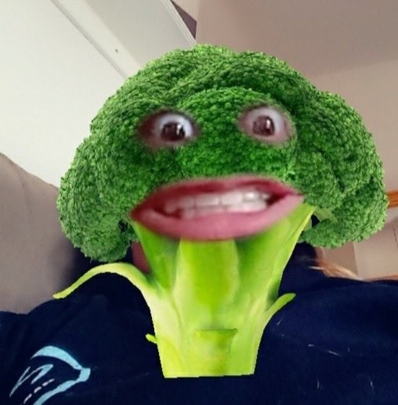 almavizcarra